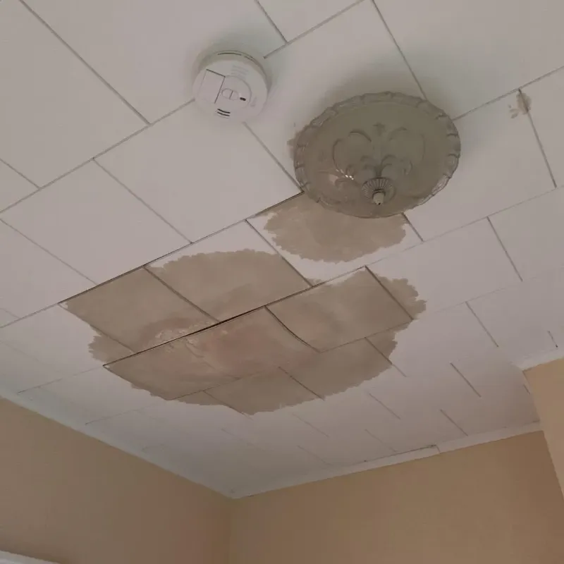 Ceiling Water Damage Repair in Bevent, WI