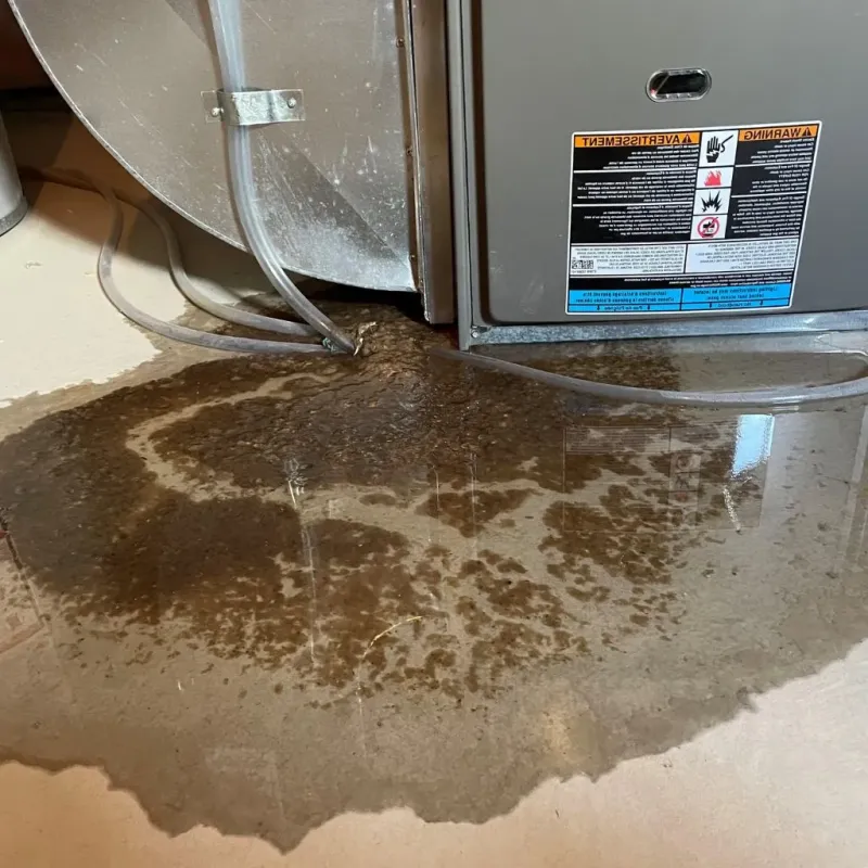 Pipe Burst and Leak Restoration in Bevent, WI