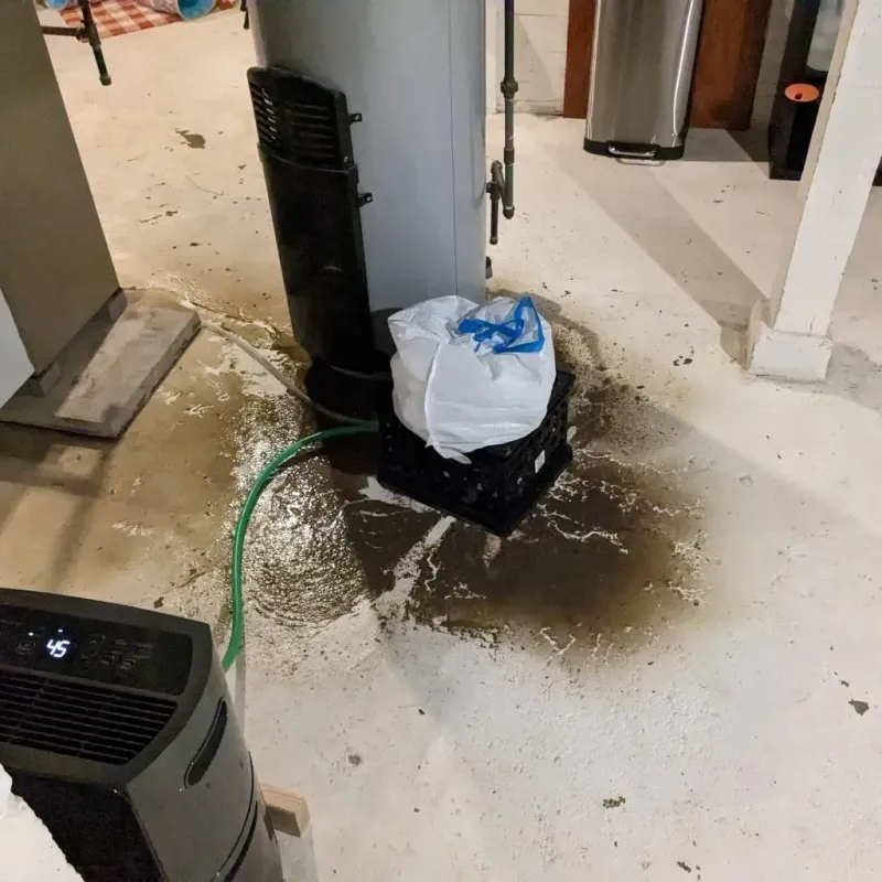 Sewage Backup Cleanup Service in Bevent, WI